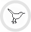 twitter icon circle Contactez moi
