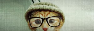 meow 300x102 meow