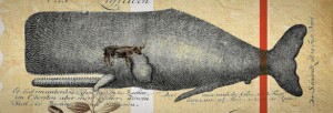 history 300x102 history