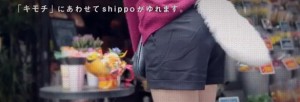 jap 300x102 jap